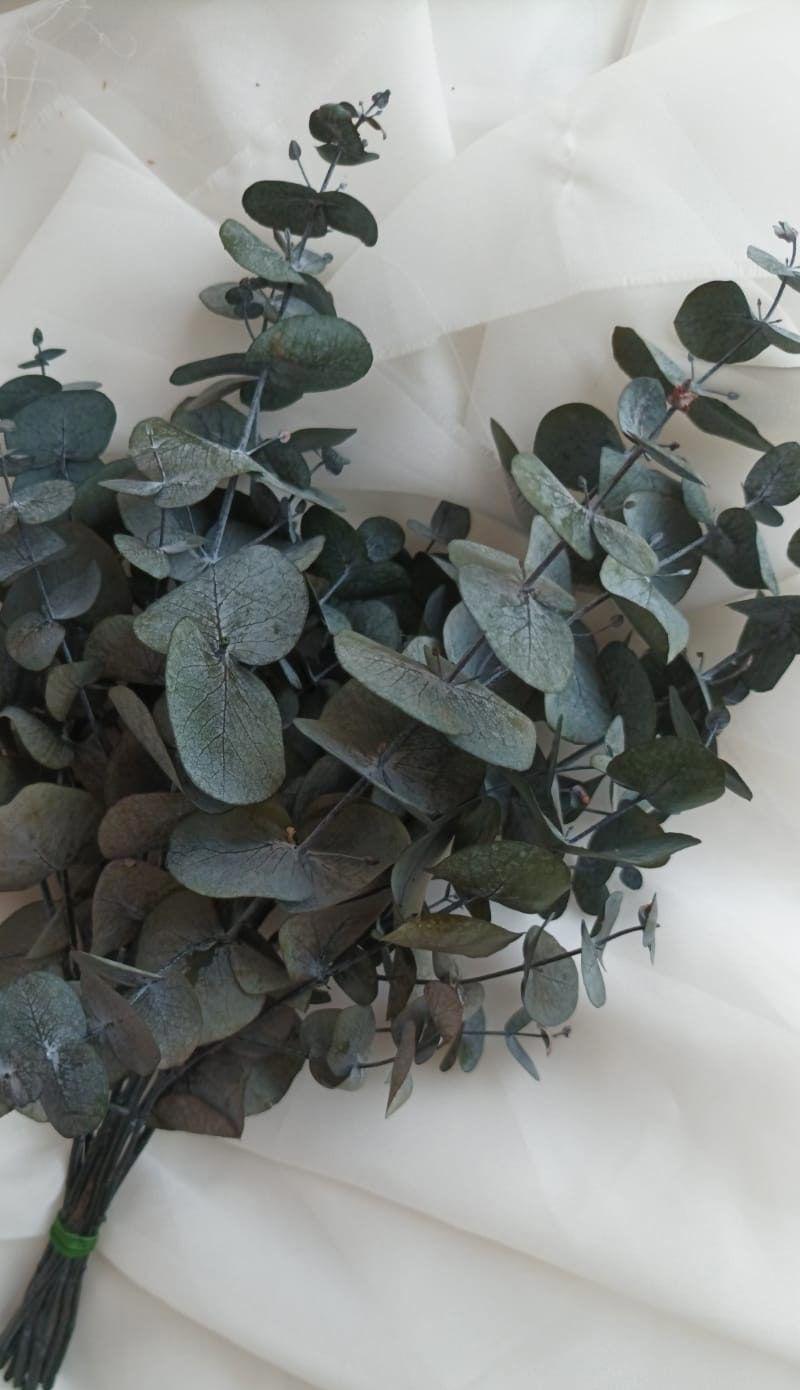 unnamed image