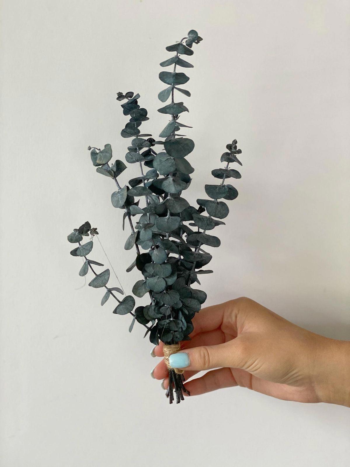 unnamed image